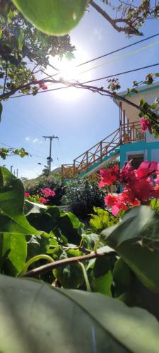 Bed & Breakfast Colorful Garden House