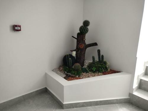 Hotel Qatar Cali