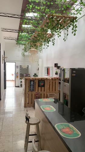 Casa Blanca San Antonio Hostal Boutique