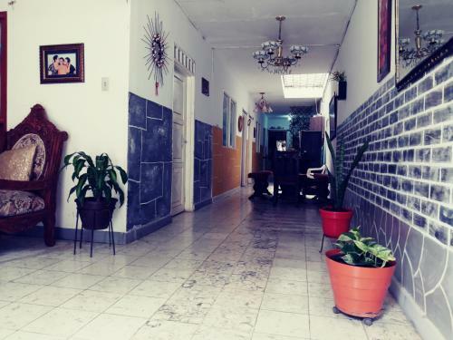 Lanfer Hostal