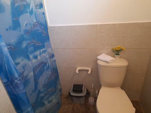 Apartaestudios El Jardin 2