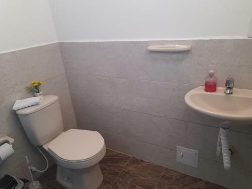 Apartaestudios El Jardin 2