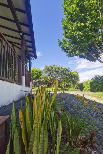 Villa Alejandra - Hermosa Finca Cerca Al Centro - Sendero - Jacuzzi