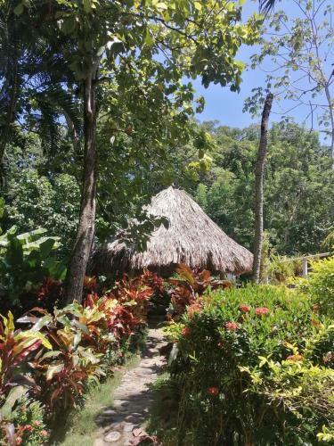 Hostal Santuario Tayrona Hostel