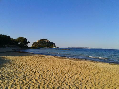 Hotel H�tel Les Palmiers
