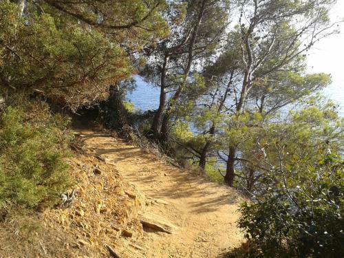 Hotel H�tel Les Palmiers