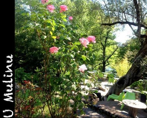 Hotel Auberge U Mulinu
