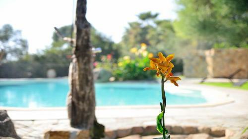R�sidence Cantu Di Mare