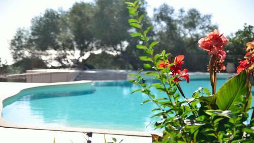 R�sidence Cantu Di Mare