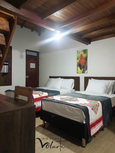 Hotel Volarte Hostal