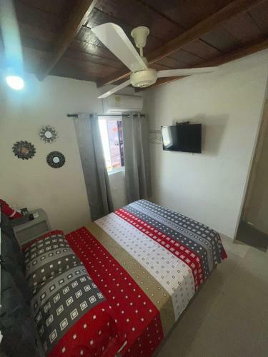 Casa 39-33