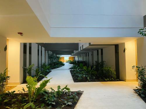 Apartamento Amazing Loft / Private Beach + Pools + Natural