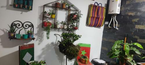 Hostal Paisa Territory Jardin