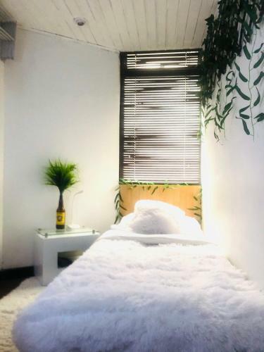 Apartamento Casa Santa Margarita