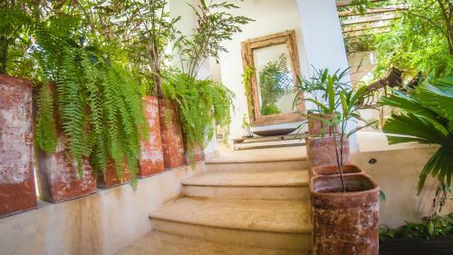 Villa Casa Mangle, Jacuzzi + Piscina Privada. 25 Mts Del Mar