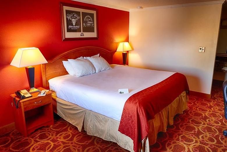 Hotel Best Western - Sturgis Inn