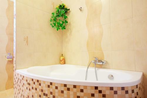 Hostal Penzion U Muzea