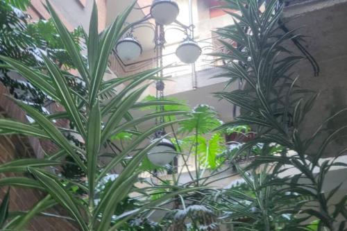 Apartamento 204 Acogedor Y Central Apto En El Parque De La 93