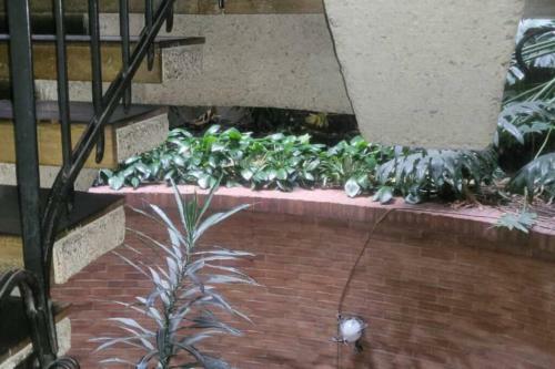 Apartamento 204 Acogedor Y Central Apto En El Parque De La 93
