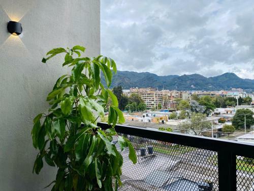 Apartamento Wynwood House Polo