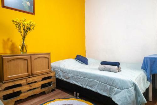 Mico Loco Casa Hostal