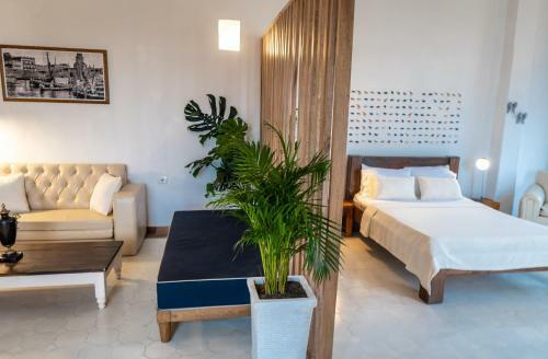 Apartamento Amara Living
