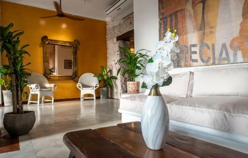 Apartamento Amara Living