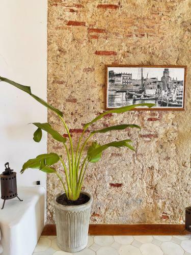 Apartamento Amara Living