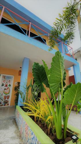 Apartamento Cartagena T�pica Boutique House