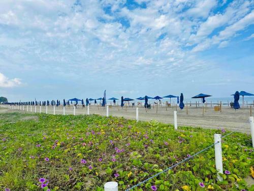 Apartamento �wonderful Beach Loft!