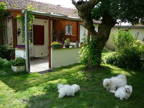 Apartamento Guesthouse La Burle