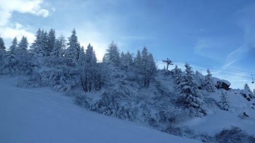 Apartamento Chalet Les Garands