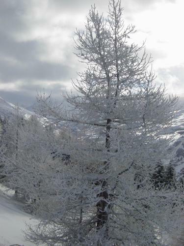 Apartamento Chalet Les Garands