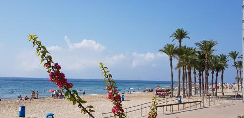 Apartamento Balcon Au Paradis