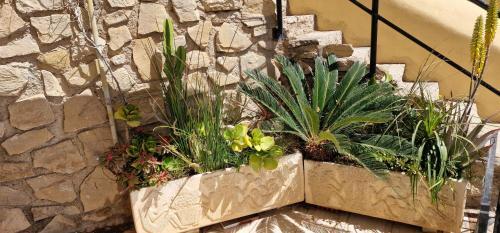Apartamento Balcon Au Paradis