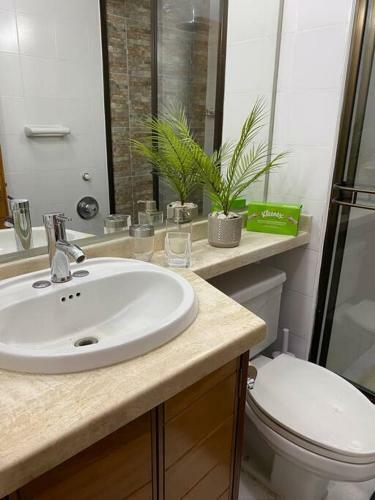Hermoso Y Acogedor Apartamento.