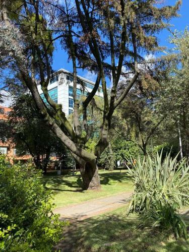 Hermoso Y Acogedor Apartamento.