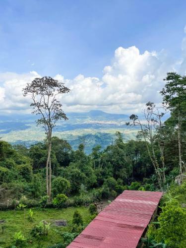 Agroturismo El Piedron