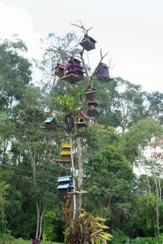 Agroturismo El Piedron