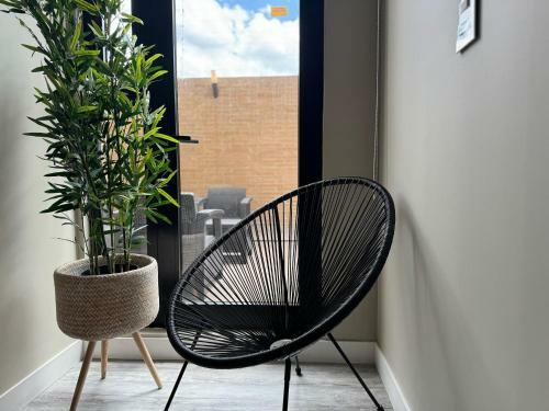 Apartamento Palmetto Niido
