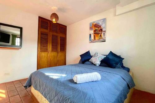 Gorgeous 8 Br House W/ Pool In The Old City