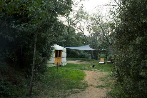 Camping Heaven Can Wait Vallromanes