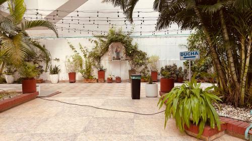 Apartamento - Cartagena - Bocagrande
