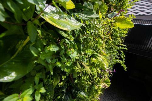 Apartamento Casa Sarda Getseman�