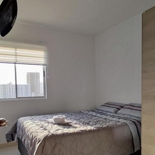 Apartamento Torre Primi 13