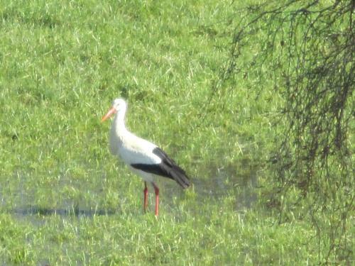 Hotel Hostellerie Du Ch�teau Des Monthairons