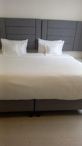 Hotel Boutique Fc