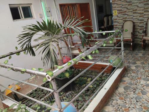 Hostal Del Castillo Mirador Hostel