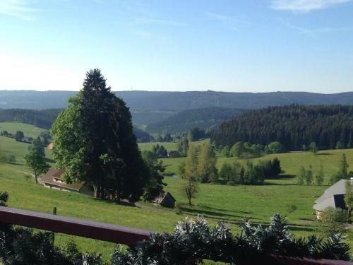 Scenic Apartment In Lenzkirch With Bikes, Balcony