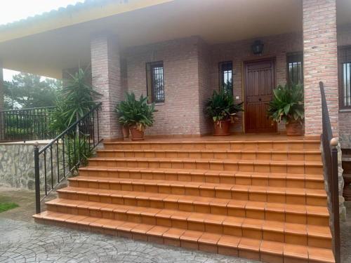 Luxury Positive House Gran Chaparral Toledo